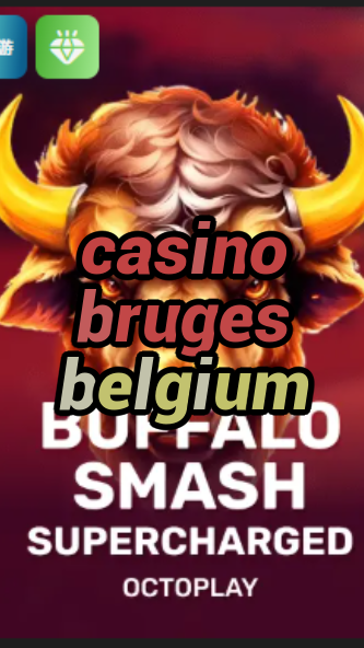 casino bruges belgium-w4cy2mdjlx2bf.com